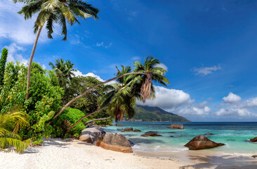 Exotic beach, coconut palms and beautiful sea with rocks on Beau Vallon beach, Mahe island, Seychelles. 