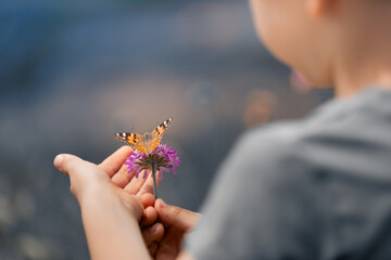 hand of a child holding flower with butterfly on it