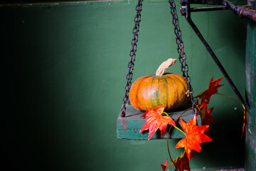 decoration with pumpkins. pumpkin season. autumn mood. 
