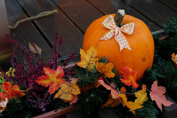 decoration with pumpkins. pumpkin season. autumn mood. 