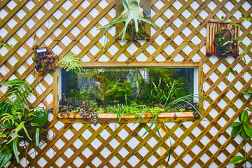 Plant terrarium in white wall with wooden trellis