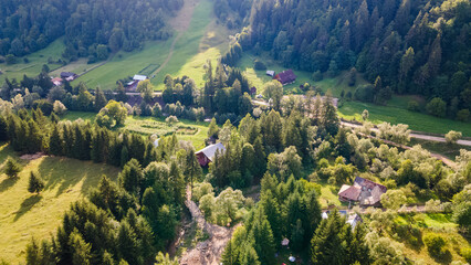 Green summer landscape in rural Romania