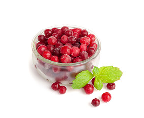 Frozen Lingonberry, Iced Cowberry, Snow Cranberry, Red Viburnum Berries, Frozen Lingonberry