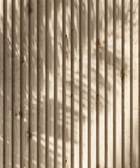 Tropical palm tree in sunlight with leaf shadow on blank natural wood corrugated wall for luxury organic beauty, fashion, cosmetic, skincare, body care, interior design decoration background 3D