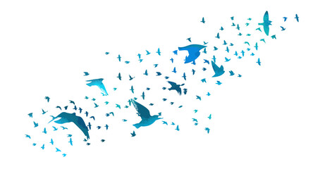 A flock of blue watercolor flying birds. Free birds abstraction Vector illustration