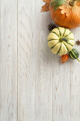 Grasp the essence of autumn's harvest. Top vertical view reveals ripe pumpkins and fall attributes on a white wood surface, allowing space for text or advertising to resonate with the seasonal concept