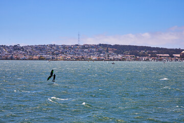 Fototapeta premium Man sailboarding on choppy bay waters with distant San Francisco shoreline