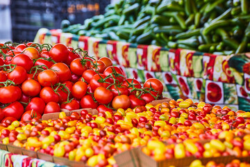 Fresh red tomatoes on the vine with assorted colors of cherry tomatoes close up