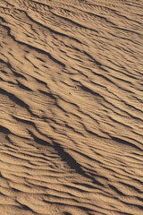 Intricate and well-defined patterns of light and shadow produced by waves in the sand at the Algodones Sand Dunes in Southern California