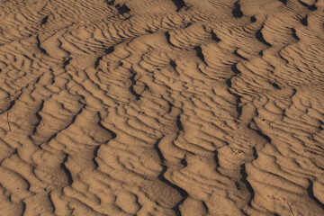 Intricate and well-defined patterns of light and shadow produced by waves in the sand at the Algodones Sand Dunes in Southern California