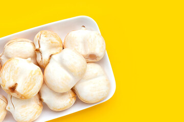 Toddy palm on yellow background.