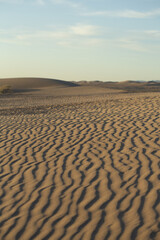 Intricate and well-defined patterns of light and shadow produced by waves in the sand at the Algodones Sand Dunes in Southern California