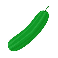 Whole cucumber vegetable, hand drawn cucumis sativus or mentimun, ketimun cartoon flat illustration