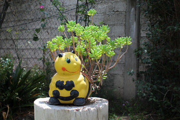 Maceta de ceramica con forma de abeja con planta suculenta sobre tronco de madera.  - obrazy, fototapety, plakaty