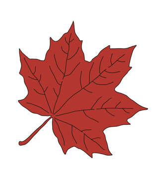 It is a leaf illustration of a maple tree, a tree representing autumn. The maple leaf is used as the national flag of Canada, and it is a red fallen leaf.
