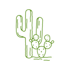 Cactus Icon, Cactus Vector, Desert Plant, Desert Cactus Icon, Desert Cactus Illustration, Cactus Illustration, Vector Illustration Background