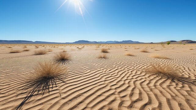 Visual illusions produced by the sun's effects in the scorching desert heat