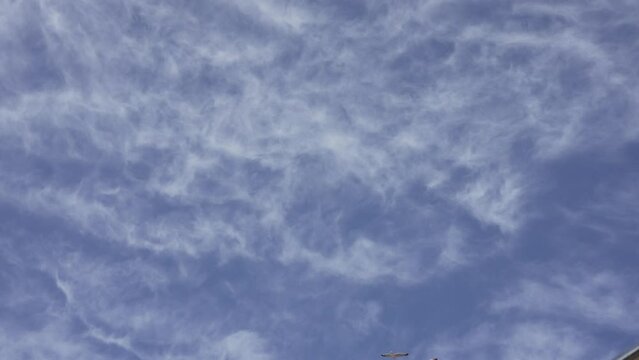 Seagulls flying with free atmosphere against background of blue sky and white clouds