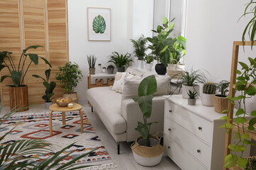 Stylish room with comfortable sofa, coffee table, chest of drawers and beautiful houseplants. Interior design