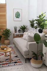 Stylish room with comfortable sofa, coffee table and beautiful houseplants. Interior design
