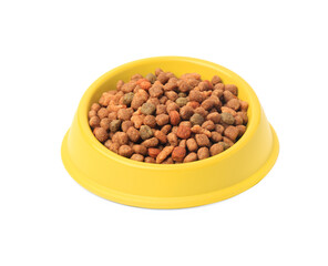 Dry pet food in feeding bowl isolated on white