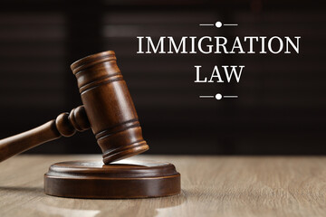 Immigration law. Wooden gavel and sound block on table