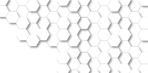 Background with White Hexagonal Background. Luxury White Pattern. Vector Illustration. 3D Futuristic abstract honeycomb mosaic white background. geometric mesh cell texture.