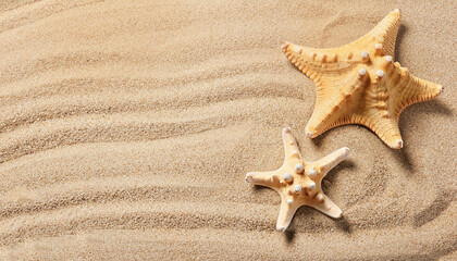 Beautiful starfish and space for text on beach sand, top view. Summer vacation