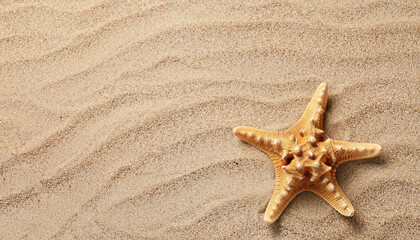 Beautiful starfish and space for text on beach sand, top view. Summer vacation