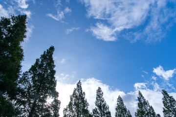 流れる雲