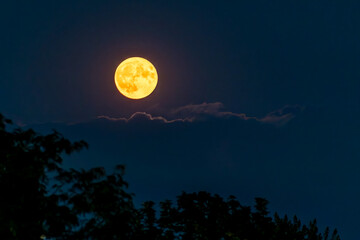 Sturgeon Moon seen in Burlington, Canada, the first full moon of August 2023. © Gilberto Mesquita