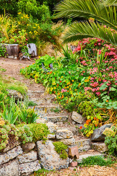 Stone wall leading to stone steps in flower garden with succulents