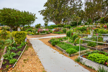 Wide view of garden with sidewalk path and different community garden plots