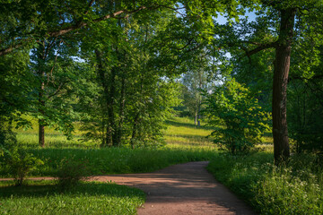 View of the alley in Pavlovsky Park on a sunny summer day, Pavlovsk, St. Petersburg, Russia