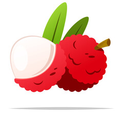Lychee fruit vector isolated illustration