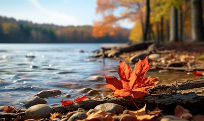 Foto op Canvas Generative AI Image of Autumn Background with Maple Leaf Fall by the River © heartiny