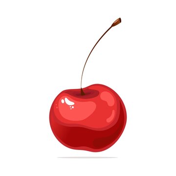 Single cherry, isolated illustration.