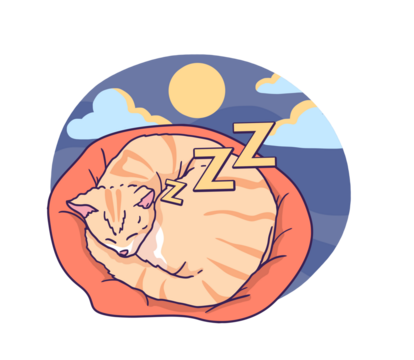 cat sleeping 