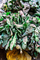 Lots of green plastic bottles and plastic wasted products being smashed on ground for recycle purpose