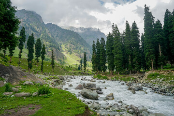 Obraz premium The Tarsar Marsar Lake trek is one of the prettiest treks in our country, provided you time it ... Kashmir Great Lakes is a lot tougher than the Tarsar Marsar trek, india
