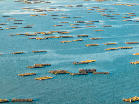 Lau Fau Shan Oyster Farm, Hong Kong