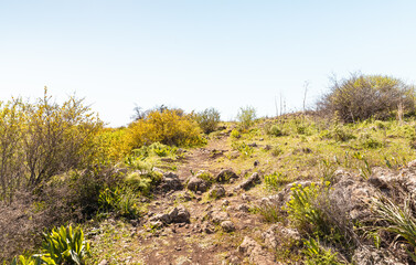 Tourist  trail leading along the route in the Yehudia National Nature Park in northern Israel