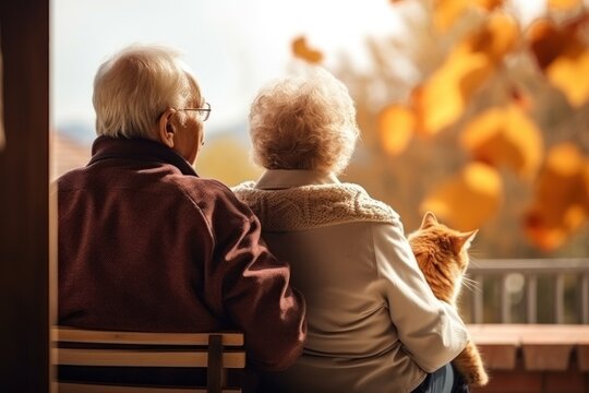 An Elderly Married Couple, On A Clear Fall Afternoon With Their Pet Kitten. Concept International Day Of Older Persons