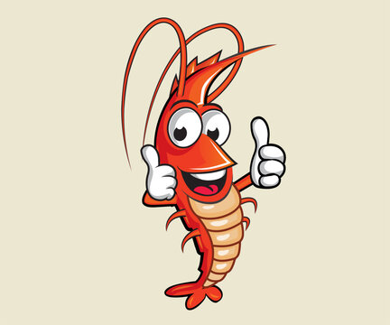 Shrimp Character design, Shrimp Mascot, Funny shrimp
