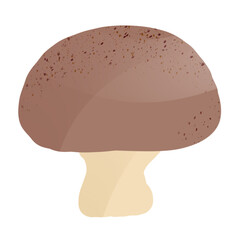 shiitake