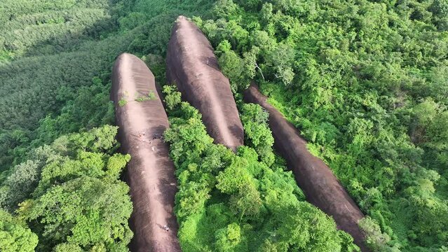 Aerial top view of Three whale stones in Bueng Kan, Thailand.