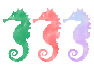 タツノオトシゴの水彩イラストセット © shiratama