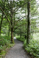 Kamikochi (Upper Highlands) is a remote mountainous highland valley within the Hida Mountains range, in the western region of Nagano Prefecture, Japan. Japanese hiking and trekking.
