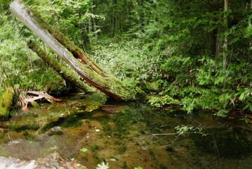 Kamikochi (Upper Highlands) is a remote mountainous highland valley within the Hida Mountains range, in the western region of Nagano Prefecture, Japan. Japanese hiking and trekking.
