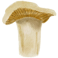 watercolor cute mushroom illustration texture